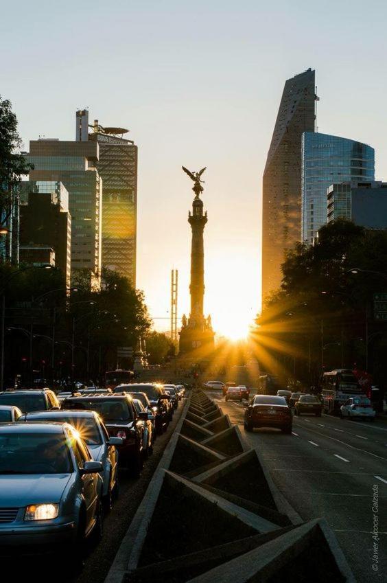 Modern Studio, Rooftop Charm, Cdmx Center2 Mexico City Exteriör bild