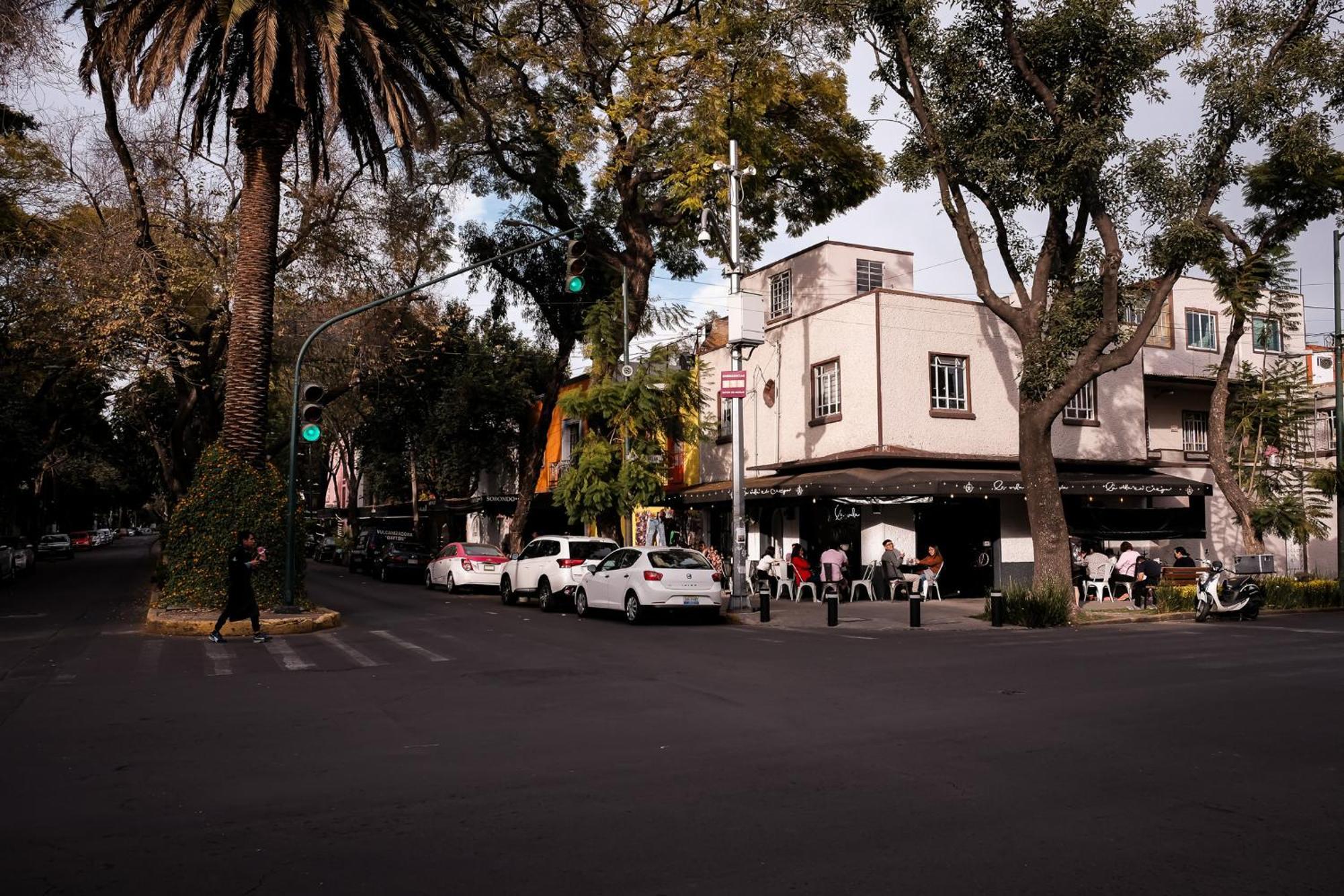 Modern Studio, Rooftop Charm, Cdmx Center2 Mexico City Exteriör bild